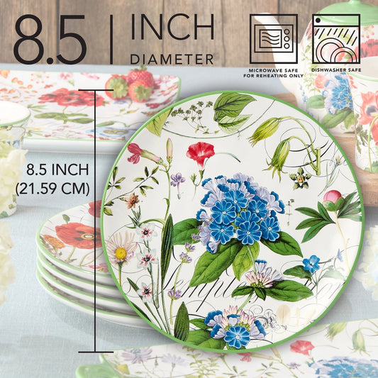 Greenhouse Salad Plates 8.5in Asst Set of 12