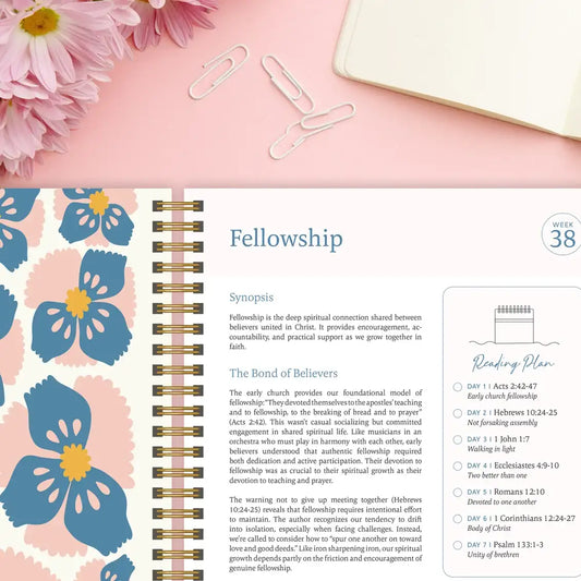 The Bible in A Year: A 52-Week Study