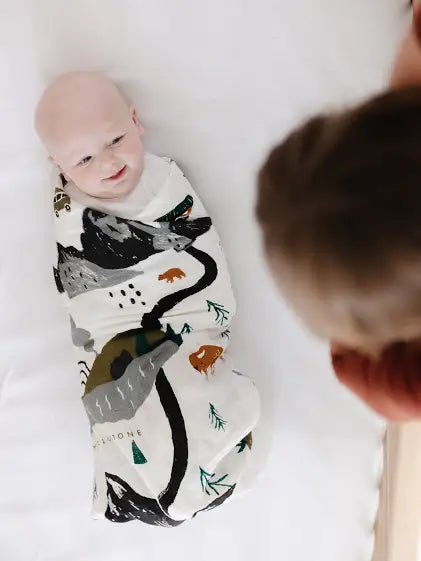 Clementine Kids National Parks Muslin Swaddle