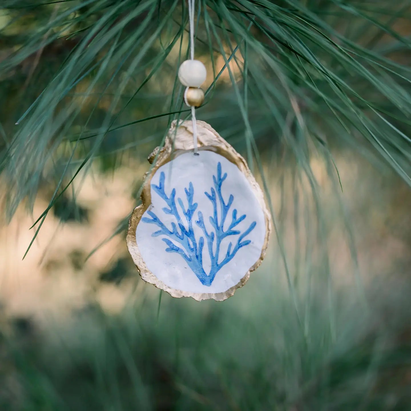 Light Blue Coral Oyster Shell Ornament or Dish