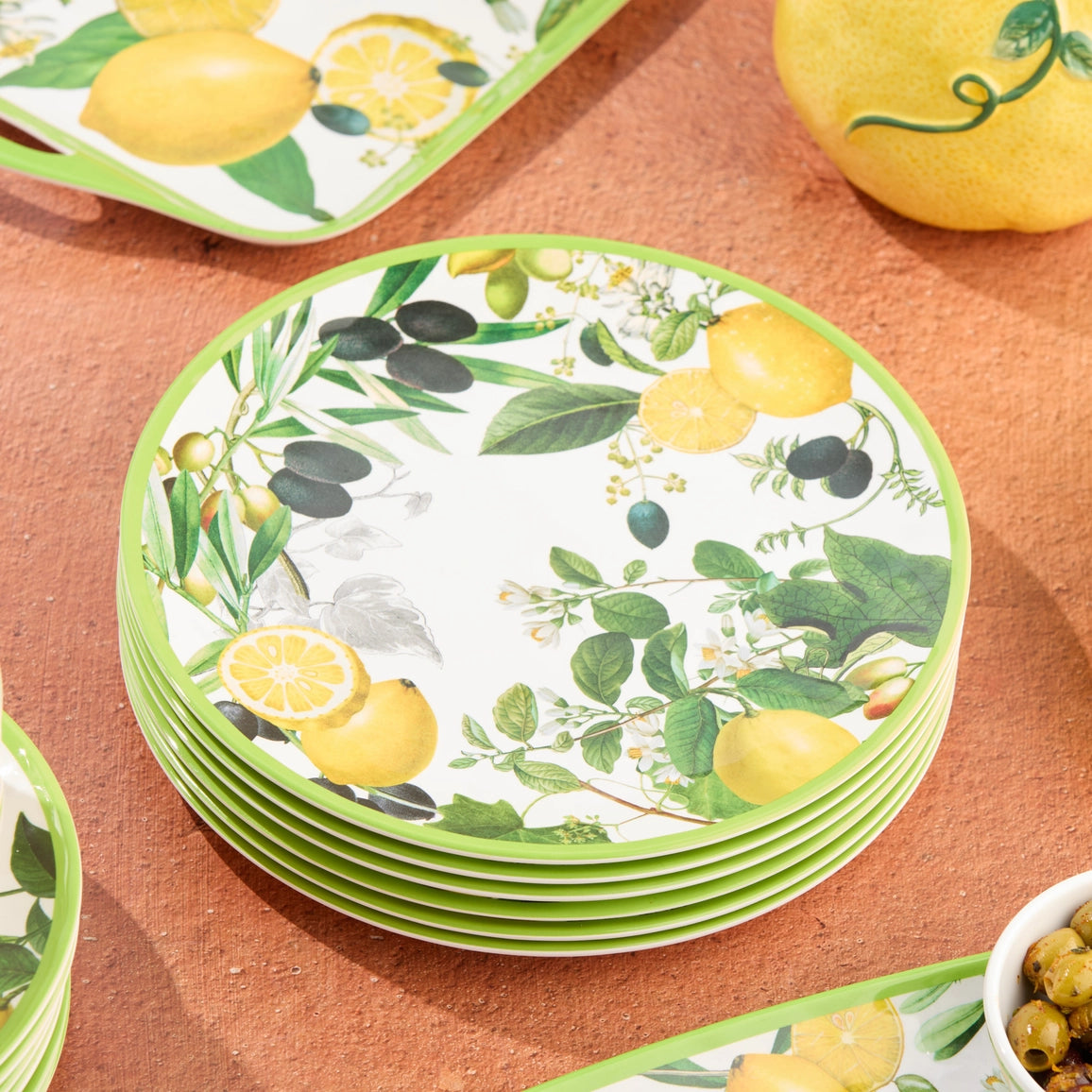 Limone Melamine Dinner Plate 11 Set of 12