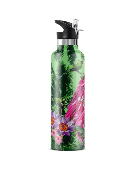 Macaw Parrot 25 oz Insulated Water Bottle