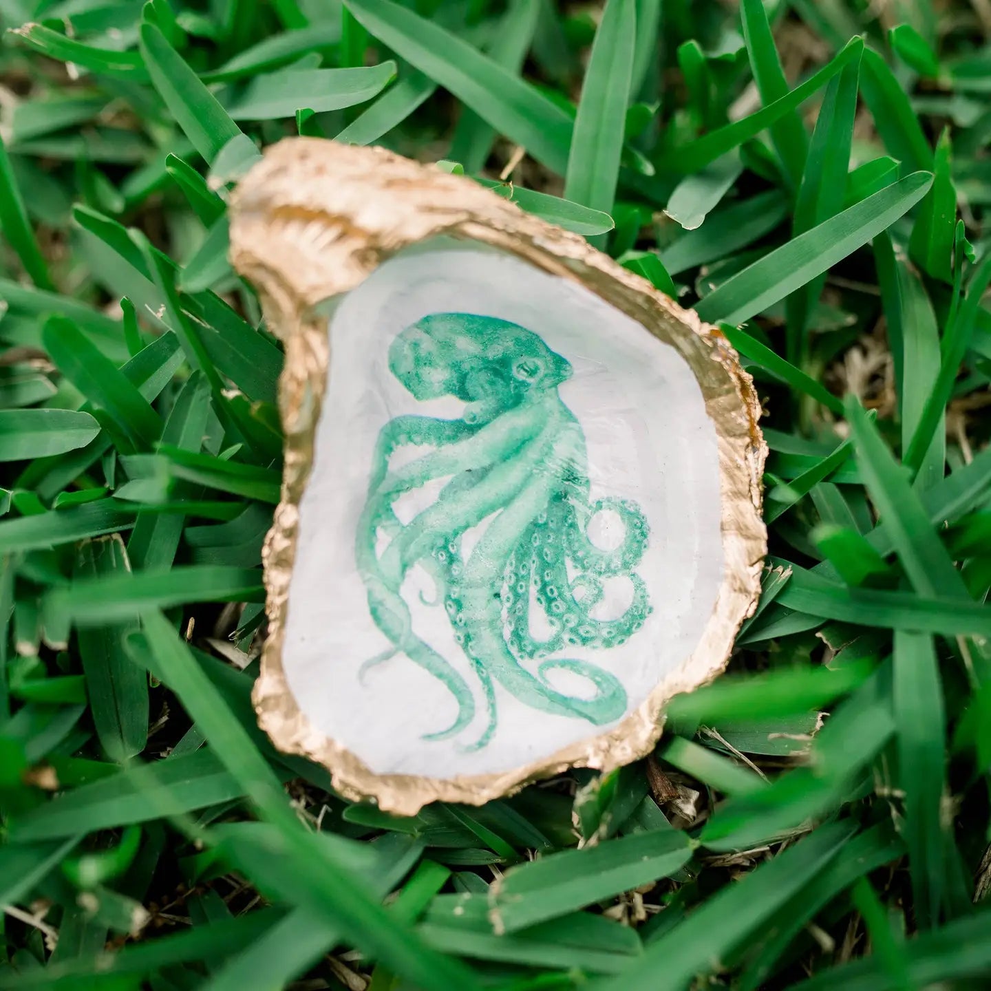 The Octopus Oyster Shell Plate
