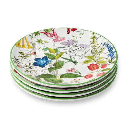 Greenhouse Salad Plates 8.5in Asst Set of 12