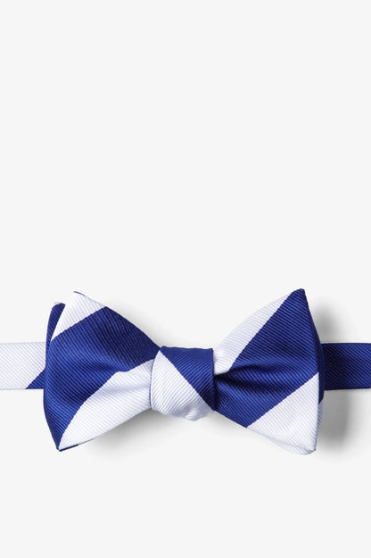 Blue and White College Collegiate Stripe - School Colors