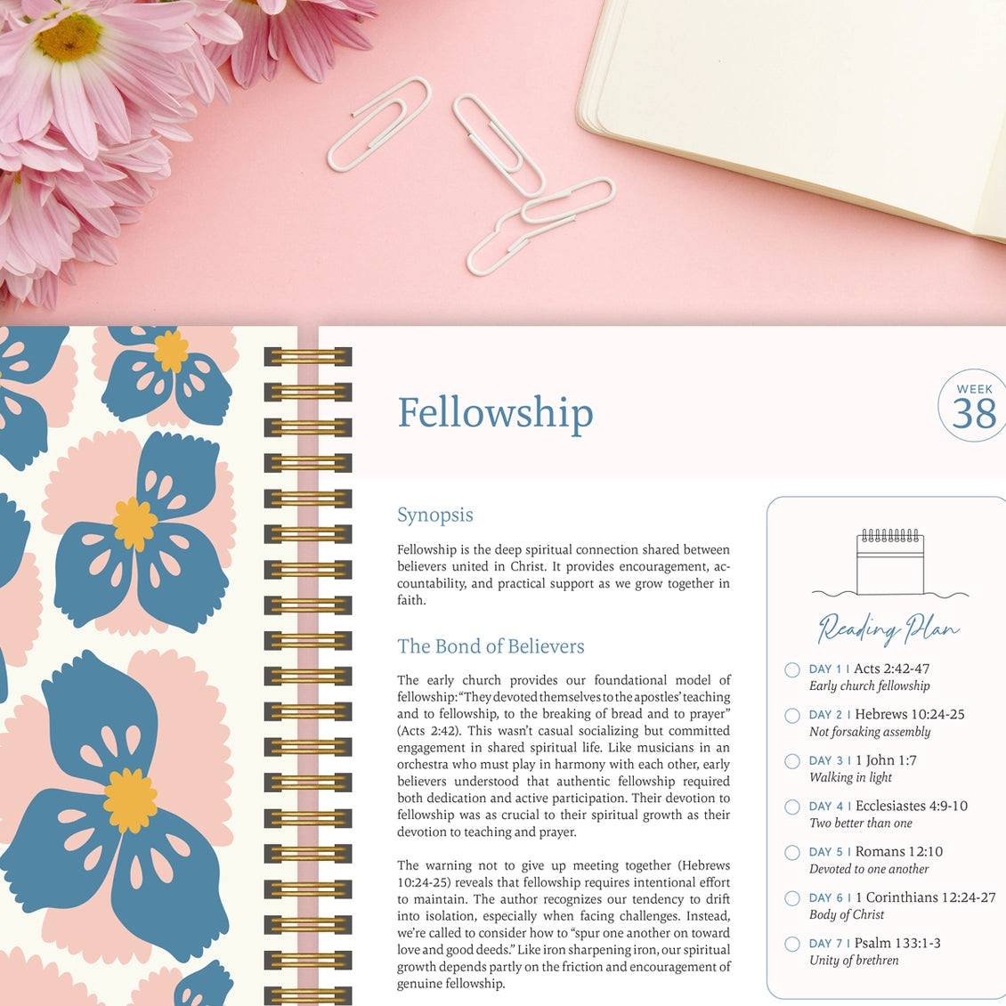 The Bible in A Year: A 52-Week Study