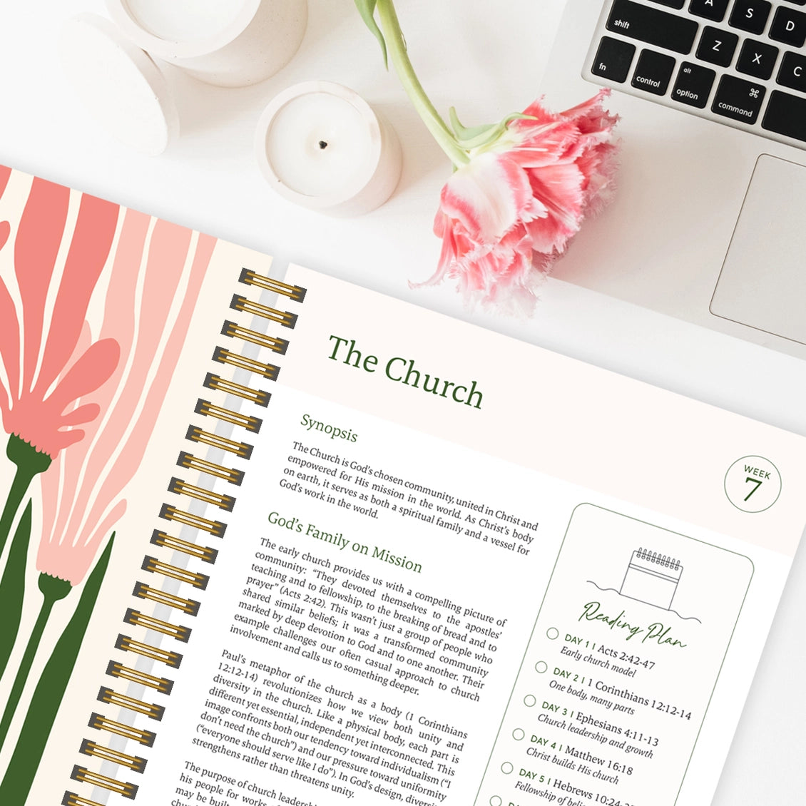 The Bible in A Year: A 52-Week Study