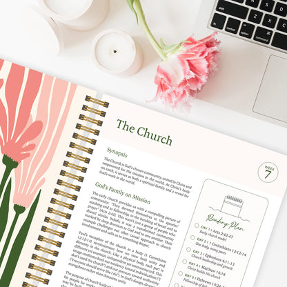 The Bible in A Year: A 52-Week Study