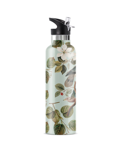 Enchanting | Birds 25 oz Insulated Water Bottle
