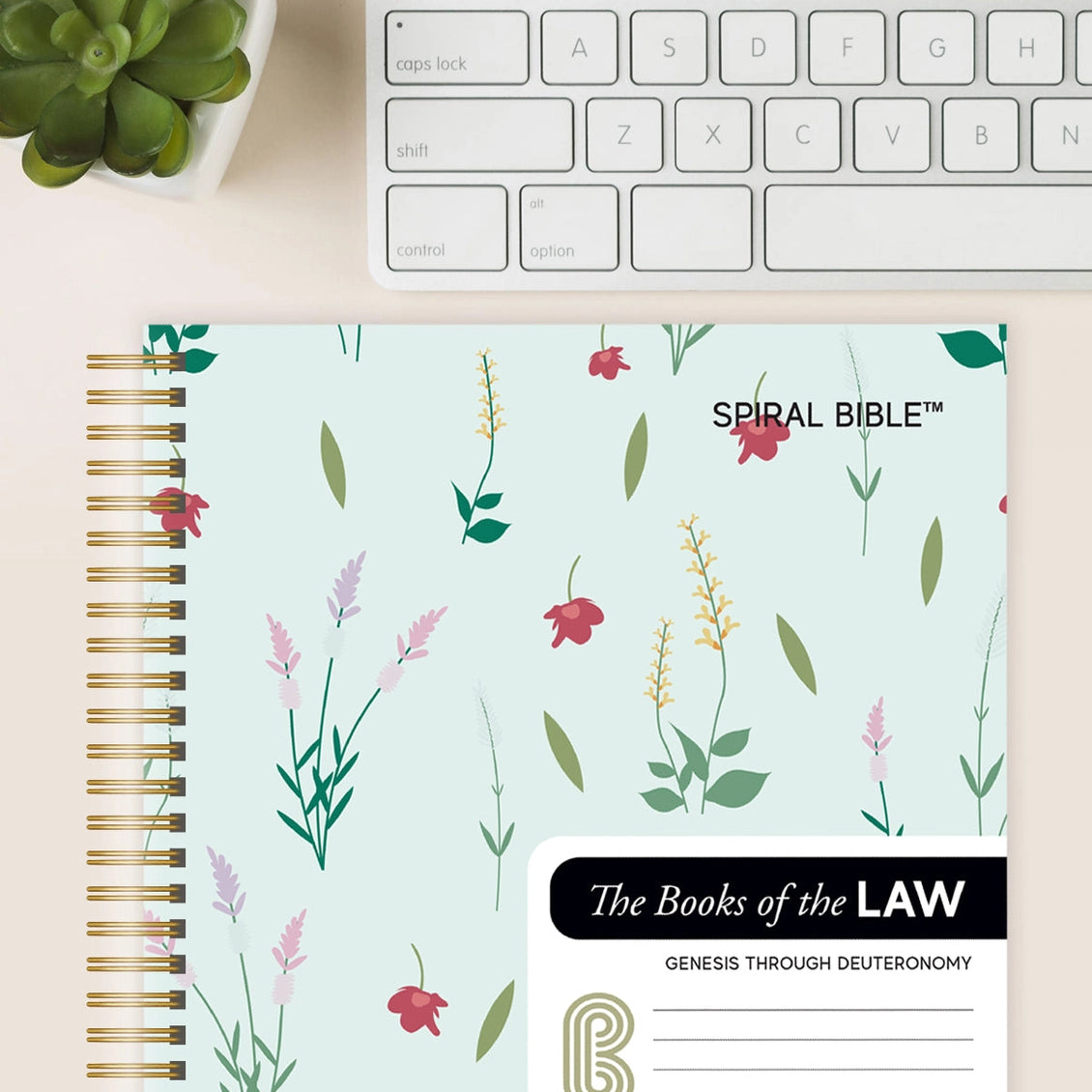 Spiral Bible™ - Web - Genesis - Deuteronomy