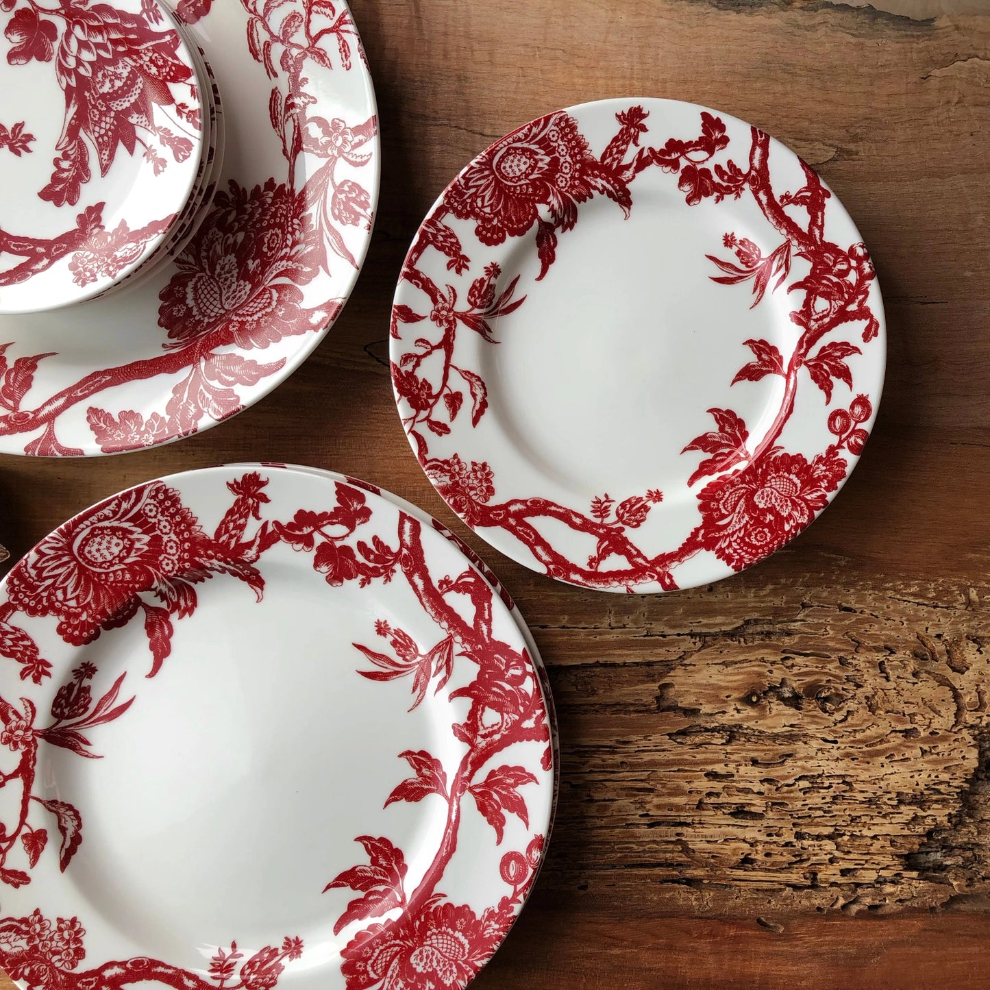 Arcadia Crimson Rimmed Salad Plates