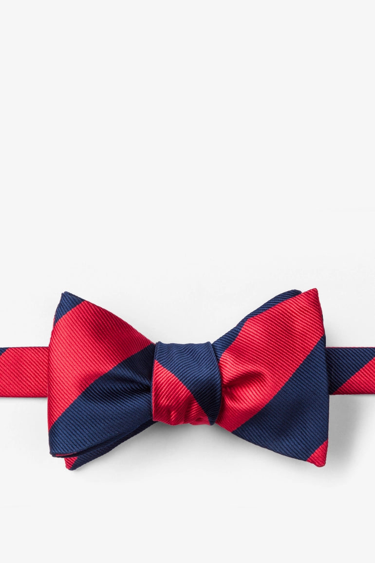 Red and Navy Stripe - Collegiate Stripe Necktie
