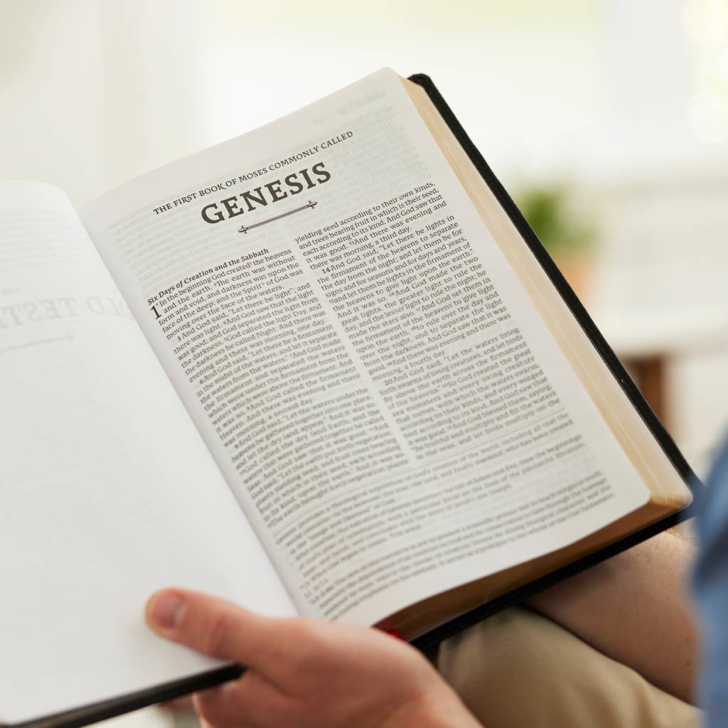 RSV2CE Thinline Large Print Catholic Bible Leathersoft - NY Gift Boutique