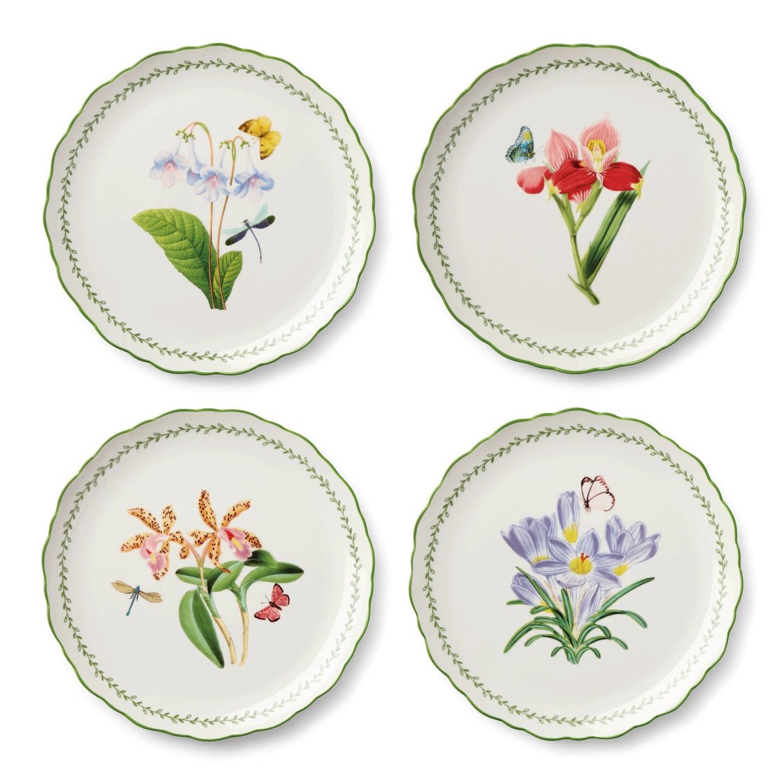 Mirabella Dinner Plate 10.5in 4 Asst Set of 12