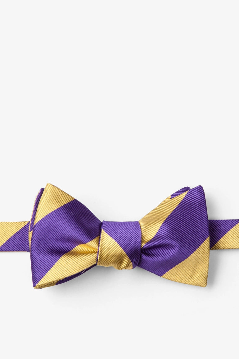 Purple and Gold Stripe - Collegiate Stripe Necktie
