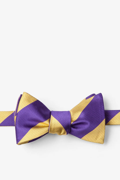 Purple and Gold Stripe - Collegiate Stripe Necktie