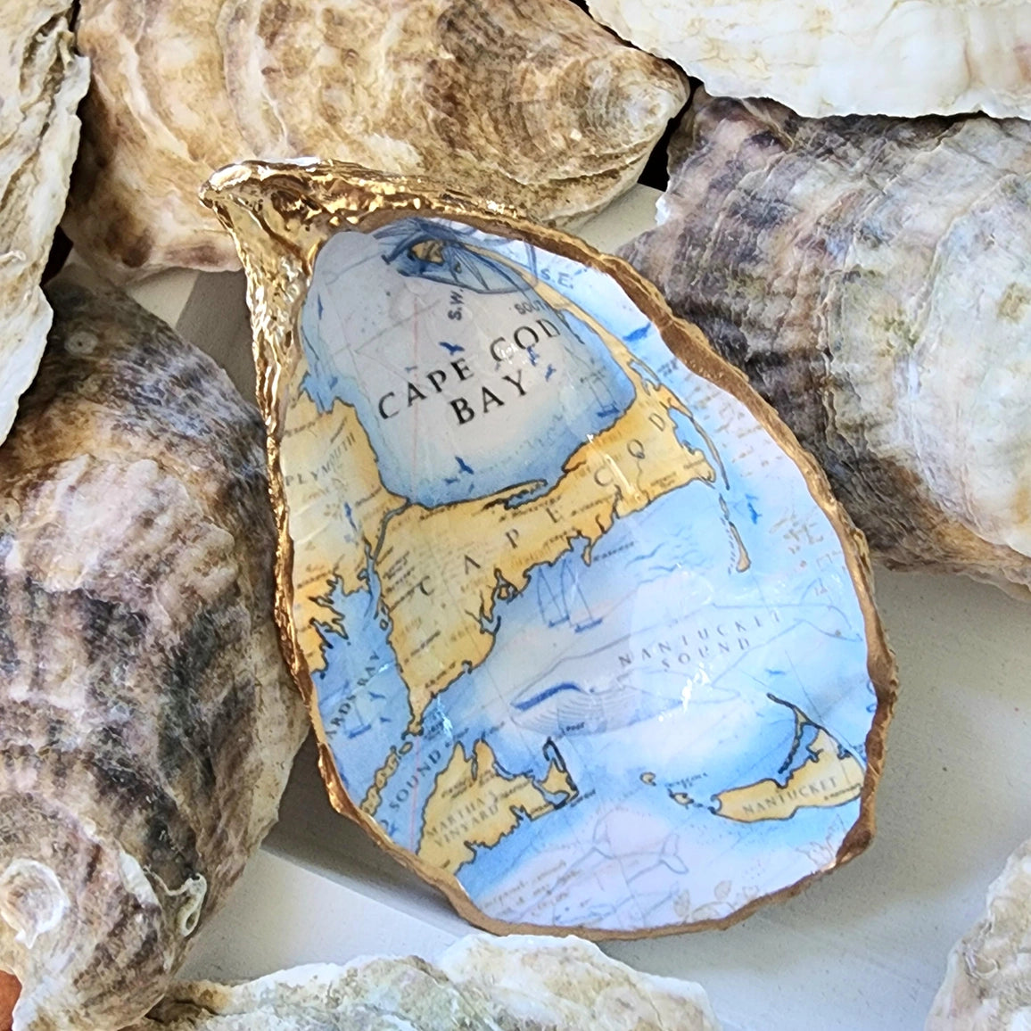 Cape Cod Bay Oyster Shell Dish | Coastal Keepsake Gift