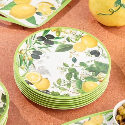 Limone Melamine Dinner Plate 11 Set of 12