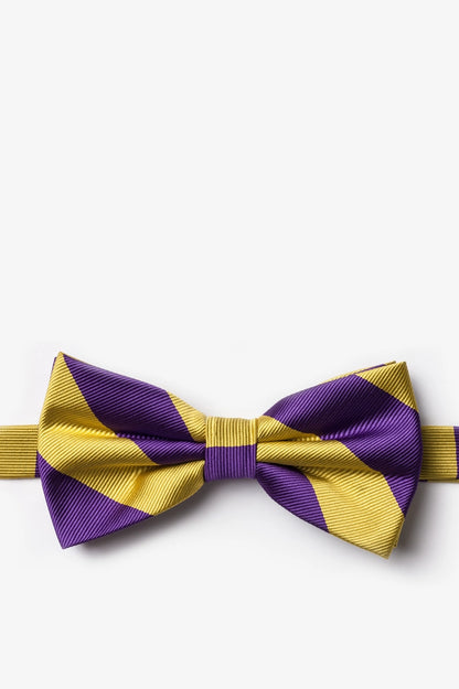Purple and Gold Stripe - Collegiate Stripe Necktie