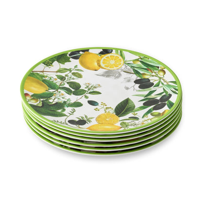 Limone Melamine Dinner Plate 11 Set of 12