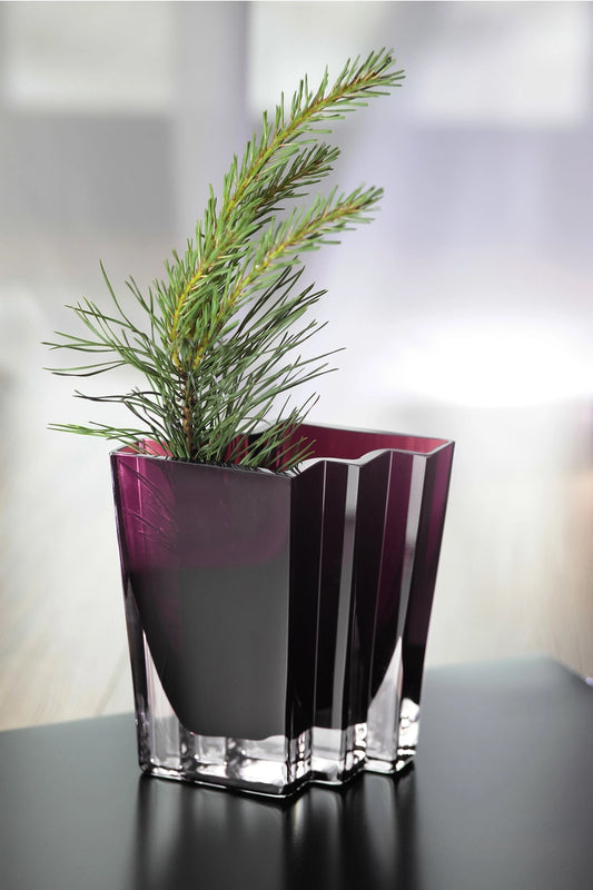 Modern glass vase with a purple base and clear top, containing a small plant on a reflective surface.