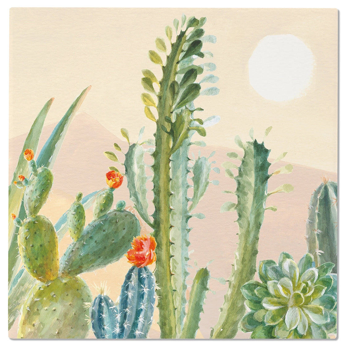 Illustration of cacti and succulents with a pastel background