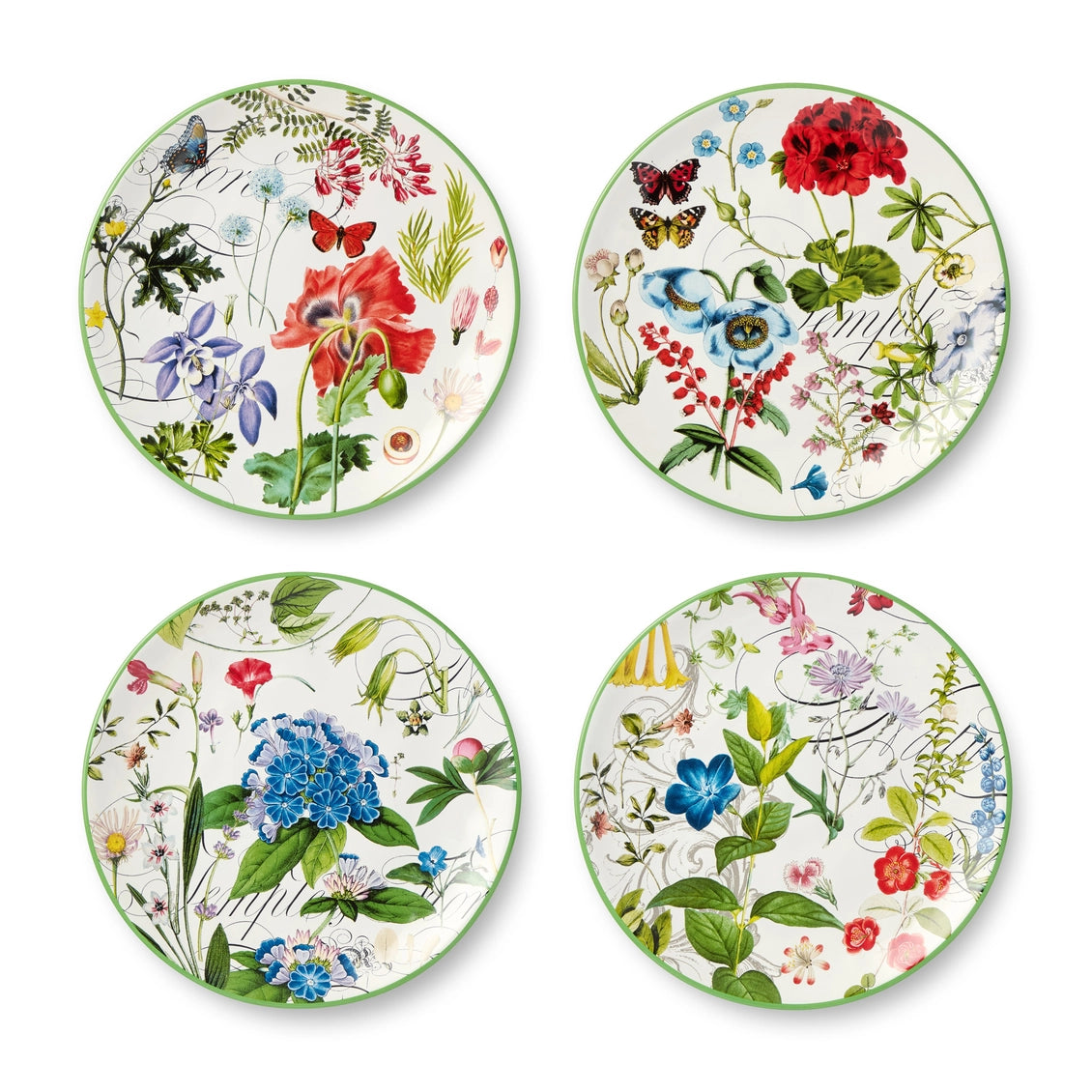 Greenhouse Salad Plates 8.5in Asst Set of 12