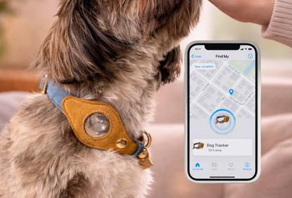 The Pet Lover Set – Suede Dog Collar & AirTag Bag Charms