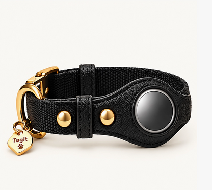 City Companion Gift Set – Wallet, Keychain & Dog Accessories
