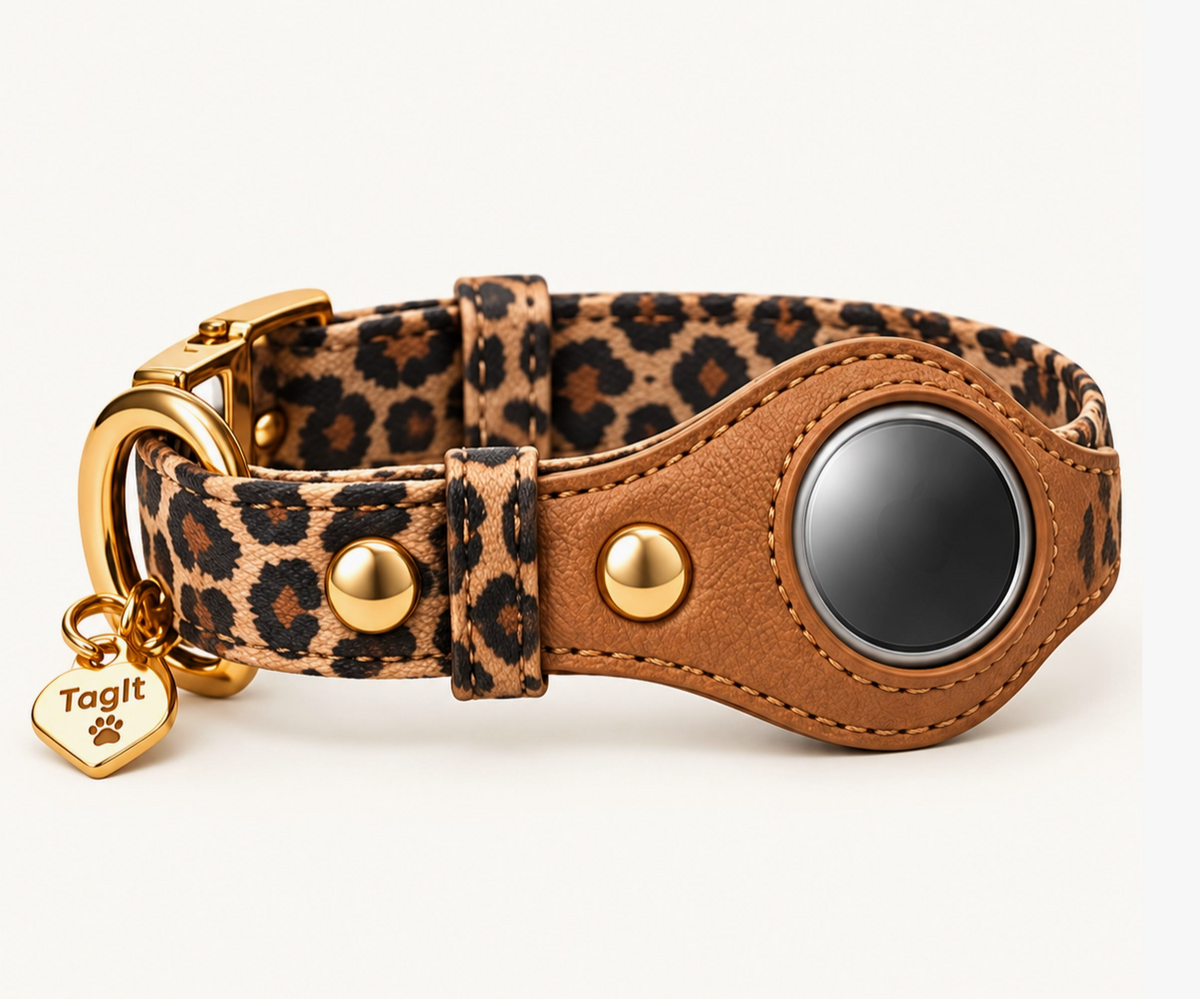 Walk Essentials Gift Set – Leopard Print Dog Accessories