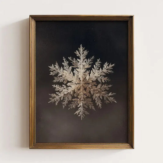 Framed artwork of a snowflake on a dark background