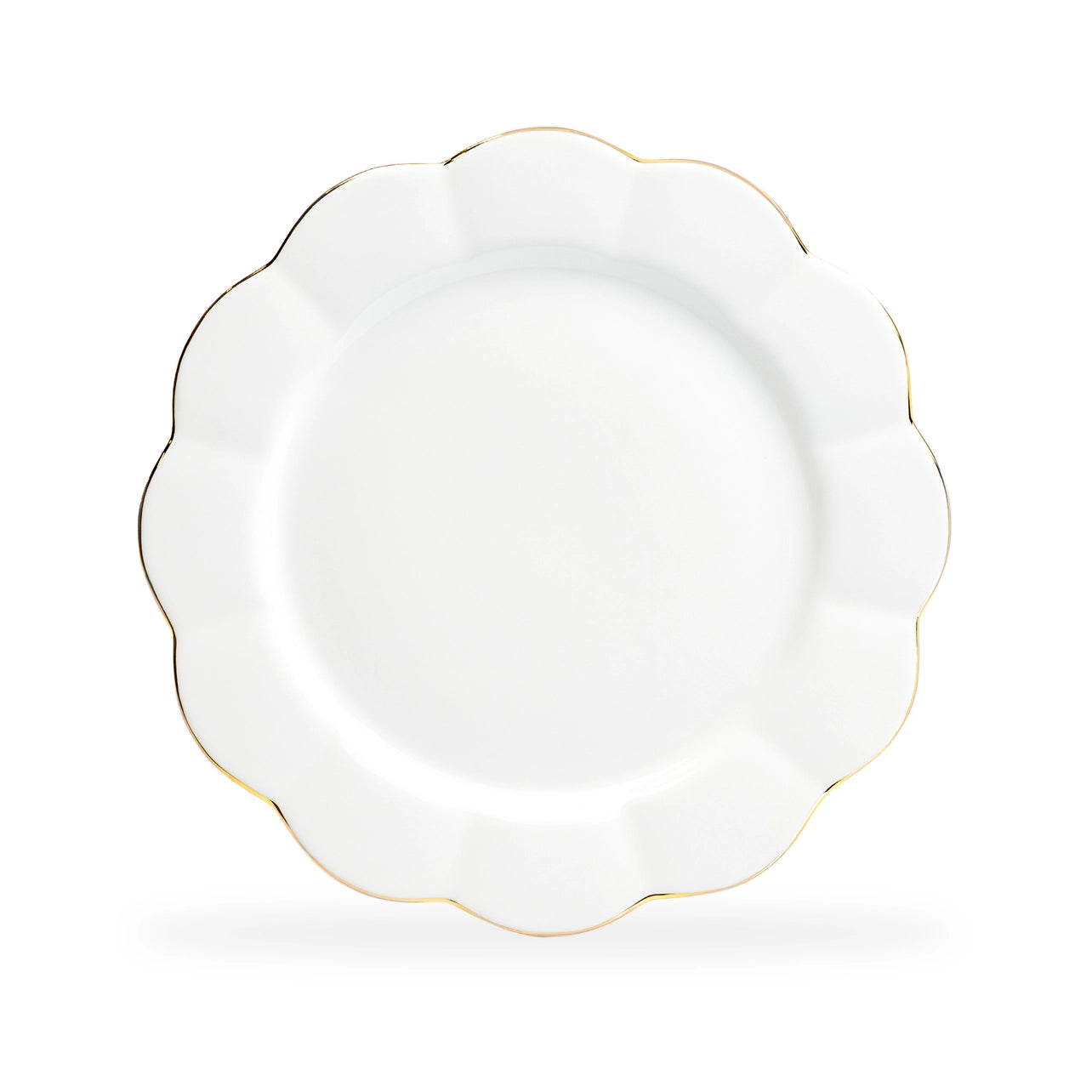 White plate with gold rim on a white background