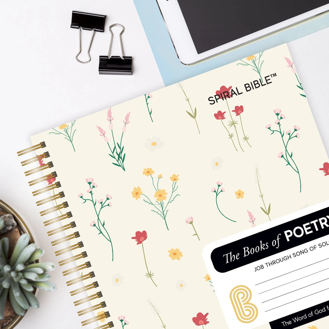 Spiral Bible™ - Web - Job - Song of Solomon