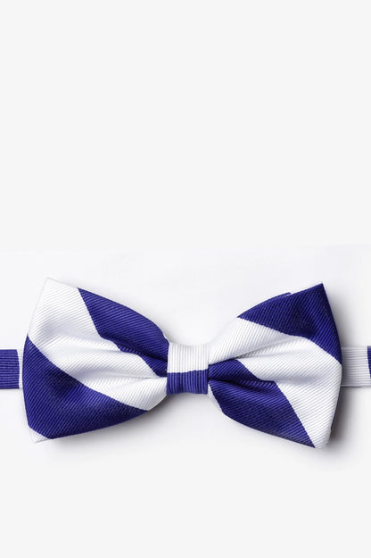 Blue and White College Collegiate Stripe - School Colors