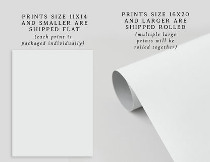 Mistletoe on Black Unframed Art Print