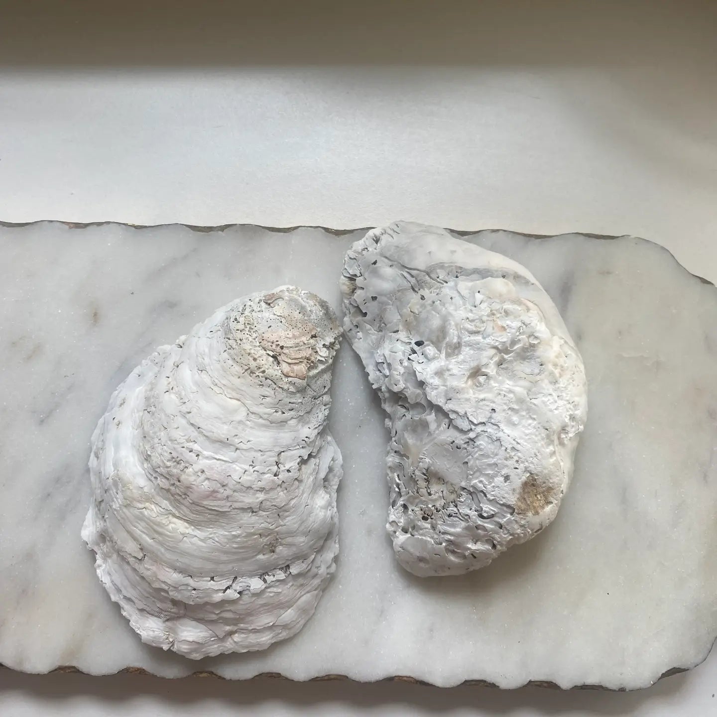 Lemon Tree Topiary Oyster Shell Jewelry Dish